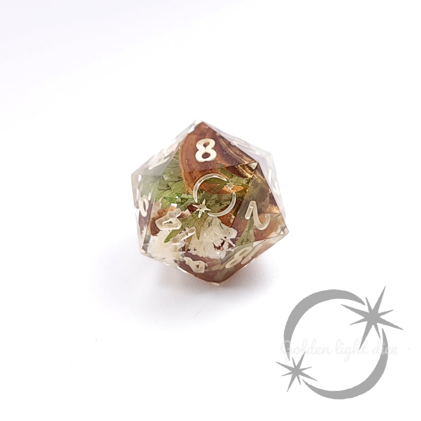 D20 : Child Of The Forest