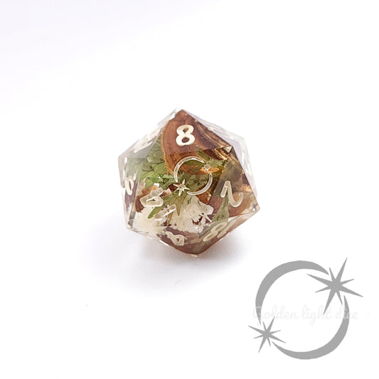 D20 : Child Of The Forest